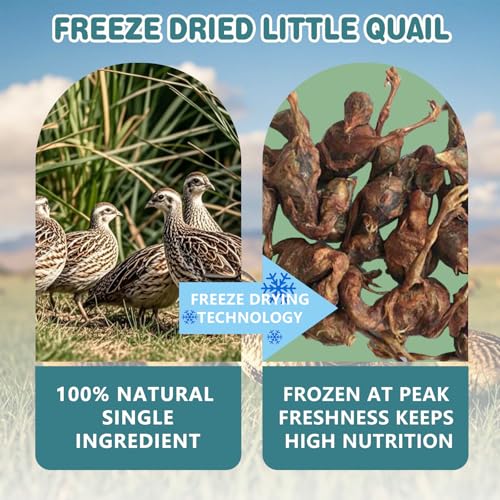 Freeze Dried Little Quail, 3 Oz Quail Dogs Cat Treats, Single Ingredient Freeze Dried Cat and Dog Treats Delicious Training Snacks, Natural Food Healthy Animal Protein Pet Food - size: 3 Ounce (Pack of 1)