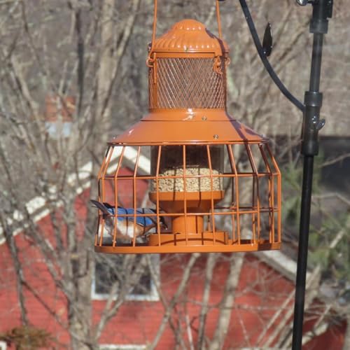 Squirrel Proof Bird Feeders, Metal Wild Bird Feeders for Outdoors Hanging, 3.5LB Heavy Duty Caged Squirrel Proof Bird Feeders, Chew-Proof, Weather Resistant, Patio Backyard Garden Decor