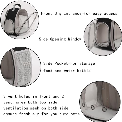 Guinea Pig Carrier Backpack,Lizard Backpack Carrier,Space Capsule Clear Bubble Window Astronaut Reptile Carrier Backpack for Bearded Dragon,Sugar Glider,Bunny (Pink, Backpack) - color: Pink