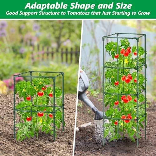 3Pack Tomato Cages for Garden,Square Tomato Plant Cage Support Heavy Duty Pole 57*15.4*15.4 Inches,Steel Plant Tower Stakes,Cherry Tomato Trellis Cucumber for Climbing Vegetables Flowers Fruits-Green - color: Tomato Cages-Green