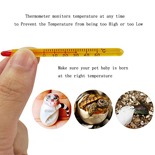OMEM Reptile Breeding Box, Reptile Egg Incubators, Hatchery Box, for Hatching Gecko, Lizards, Lions Mane, Reptiles (Thermometer, Transparent Box) - size: Thermometer