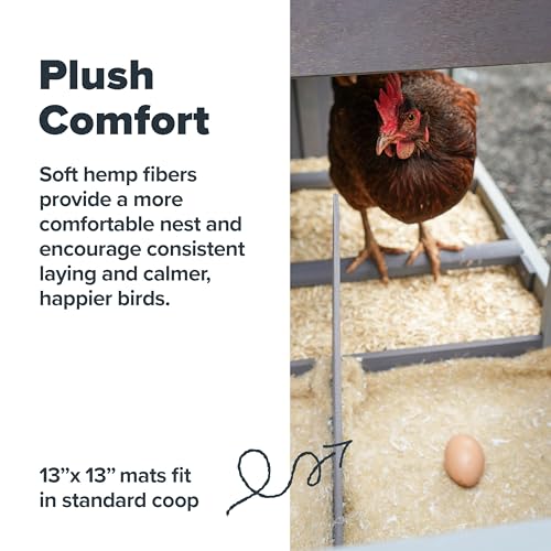 Chicken Nesting Material Mats - Sustainably Sourced Hemp Nesting Pads for Chicken Coop - Safe and Soft Hen House for Laying Eggs - American Farms 13 x 13 (6 Pack)
