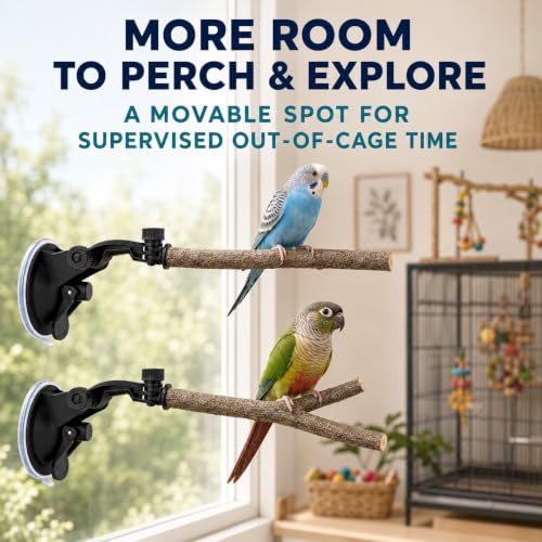 2 PCS Parrot Perch Stand, Movable Perch Stand Bird Training Set, Wood Parrot Perch Stand with Strong Suction Cup for Cockatoo, Macaw, Parakeet, Window Mirror Car Shower Ceramic Tiles Bath