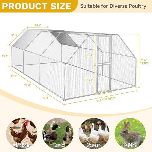 DWVO Large Metal Chicken Coop for 20-30 Chickens | 19.1 x 9.8 x 6.4 ft Walk-in Poultry Cage Chicken Run for Yard Outdoor with Anti-UV Cover Duck House Flat Roof Chicken Pen