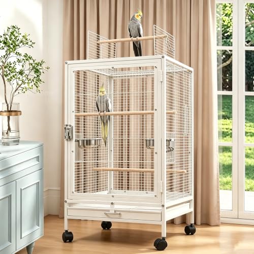 xixi-home Parrot Cage,Metal Bird Cage Ornamental Cage -with Play Top and Wheel,Large Birdcage Flight Cages for Outdoors for Parakeet,Lovebirds,Cockatiels(Type A - White) - color: White - A