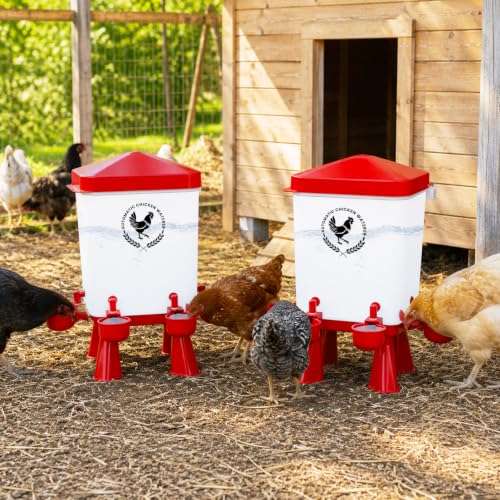 2 Pack 3 Gallon Chicken Waterer with 10 Chicken Water Cups, No Spill Poultry Waterer with Stand Legs, Hooks and Screws, Chicken Water Feeder for Coop, Ducks, Hens, Farm, Backyard Chickens (Red) - color: Red, size: 2pcs