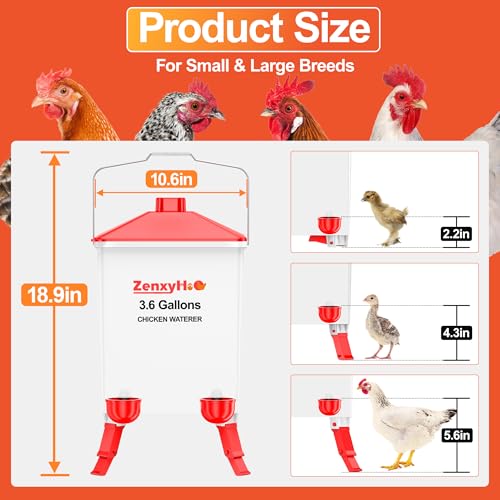 3.6 Gal Chicken Waterer with 4 Automatic Water Cups - 3 Height Adjustable | Anti-roost Cone and Locking Legs Design, Auto Fill Cups for Backyard Flock - style: Waterer with Cups