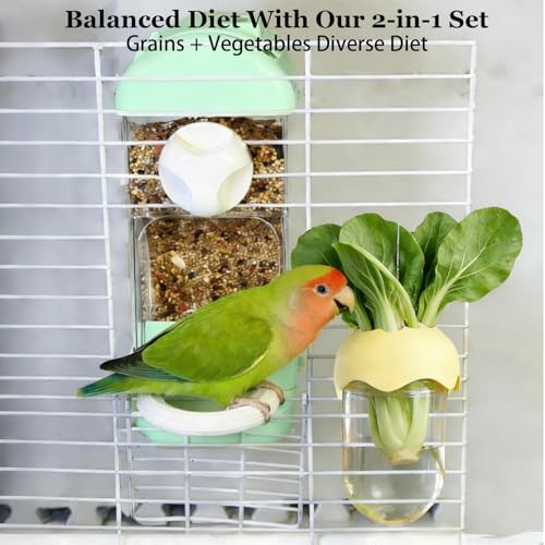 Automatic Bird Cage Feeder No Mess Bird Feeding Station Parrot Vegetable Holder Fruit Clips for Parakeet Cockatoo Canary Lovebirds Budgie (Blue) - color: Blue
