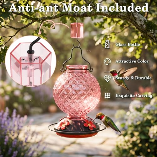 25 OZ Glass Hummingbird Feeder for Outdoors, Leak Proof Hummingbird Feeder with Ant Moat, 4 Bee Resistant Feeding Ports, Easy Clean Wide Mouth Design, Hanging Nectar Feeder, Pink - color: Pink - 25oz