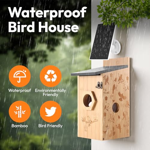 Smart Bird House with Camera – Bamboo Carving, AI Bird Recognition,IP66 Waterproof, Two-Way Audio, App Control,4MP Full-Color Night Vision,Solar-Powered,Cloud & SD Storage (Solar Birdhouse) - color: Woodland Oak, size: Solar Edition