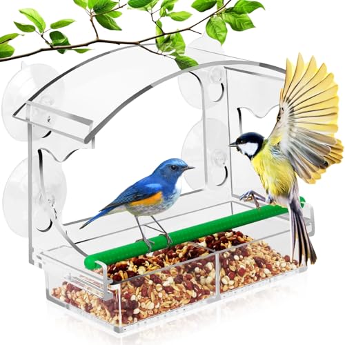 Window Bird Feeder for Outdoors, Acrylic Bird Feeder with Strong Suction Cups, Perfect for Up-Close Viewing, Removable Seed Tray with Drain Holes to Keep Nuts Fresh & Dry, Clear