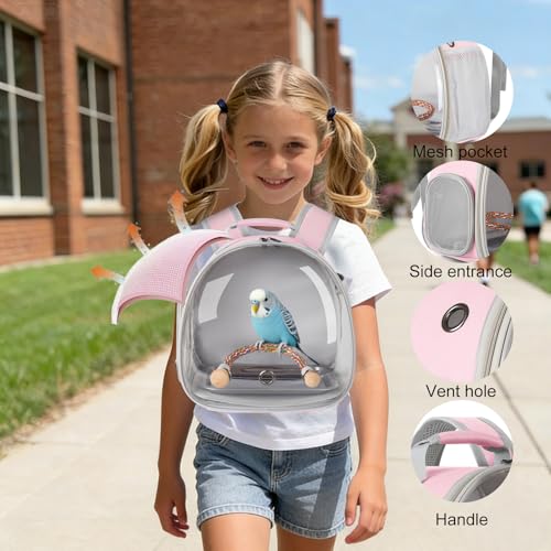 Small Bird Travel Backpack Carrier Cage, Backpack to Transport Backpack Carrier with Metal Tray Stand Perch for Parakeet Cockatiel Budgies Vet Carry Book Bag Green - color: Pink