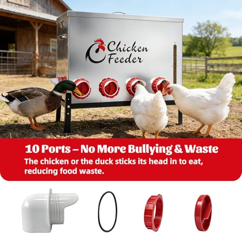120LB Metal Chicken Feeder, Rat Proof Automatic Large Chicken Feeder with Visible Window &10 Ports, Galvanized No Waste Poultry Feeder for Chickens, Ducks, Geese - size: 120 LBS