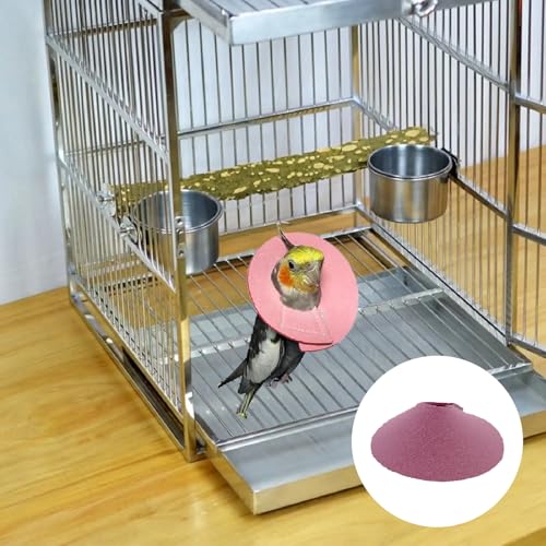 4 Pcs Bird Cone Collar, Pet Parrot Anti-bite Elizabethan Collars, Bird Collars for Feather Plucking for Lovebird Budgerigar Cockatiel Cockatoo Parrots (Mix Colors)