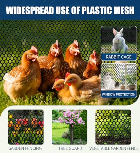 Heavy Duty Black Plastic Chicken Wire Mesh 15.7in*10ft | Easy to cut and bend, no sharp edges. Ideal for poultry, rabbits, dogs, garden beds, balcony screens, floral guards & DIY. - color: 10ft Black