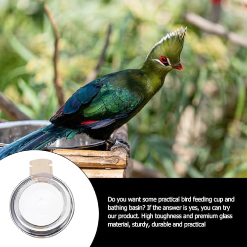 BESPORTBLE Bird Bowl Bath Tub Set: 3pcs Glass Bird Food Cup Water Cup Bathing Basin Transparent Birdcage Accessories