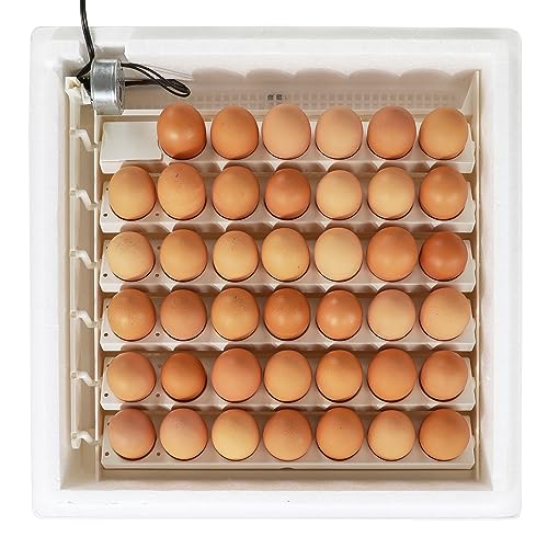 Farm Innovators Egg Incubator with Automatic Egg Turning & Humidity Control, Egg Candler w/Digital LCD Display for Improved Hatching, 3 Pack, White