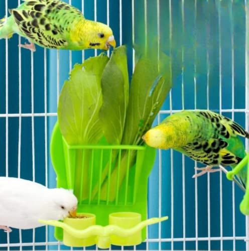 Bird Parrot Feeder Cage Fruit Vegetable Holder Vegetable Rack Pet Food Hanging Feeder Parrot Fruit Hanging Containers for Cage