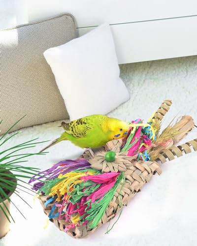 Bissap Bird Chew Toys, Parrot Foraging Shredder Natural Palm Frond Woven Bag Hanging Cage Toy with Chewing Treats for Conure Budgie Cockatiel Cockatoos and Similar Sized Pet Birds - style: Bag