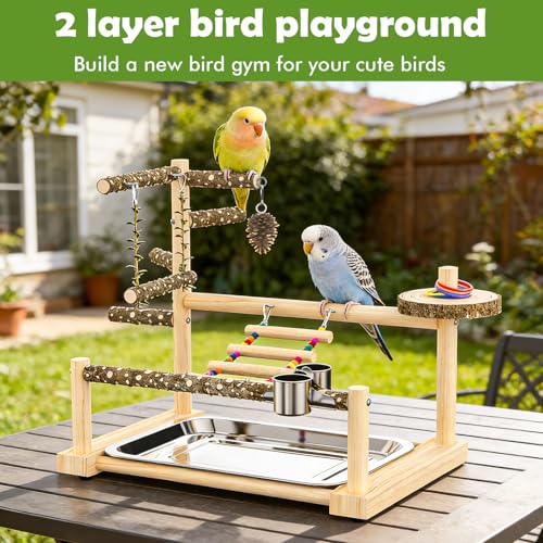 Bird Playground, Parrot Playstand Cockatiel Playground, Bird Play Stand with Feeder Cups, Swings, Ladder and Removable Tray, Parrot Perch Stand for Parakeet Conure Lovebird Budgie - size: 2 layer T2
