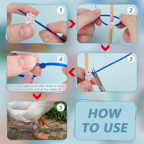 WADORN 60 Sets Chicken Leg Bands, 6 Styles Colorful Chicken Poultry Charms Adjustable Chicken Identification Bands Duck Poultry Foot Tags Plastic Cable Ties for Bird Duck Parrot Geese Turkey Pigeons