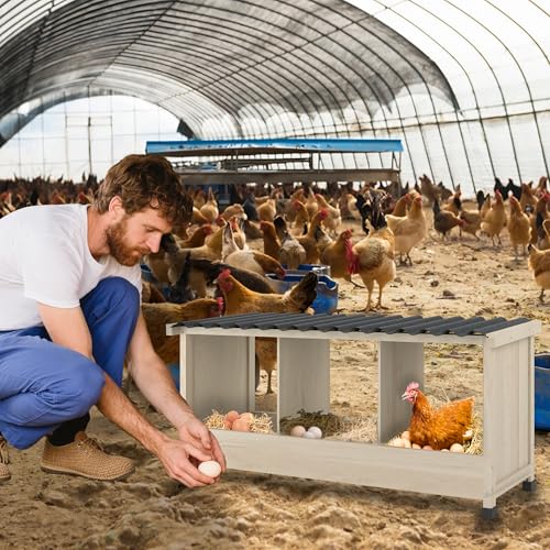 3 Holes Wooden Chicken Nesting Box, Wall Mounted or Floor Use | Chicken Coop Accessorie with PVC Roofing, Preventing Egg Falls, Easy to Assemble, Backyard and Farms, Natural Wood - size: 37.8"L x 13.0"W x 16.9"H