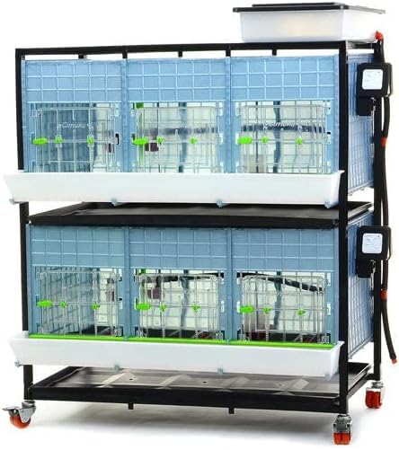 Hatching Time 15" Chick Brooders – Stackable & 2-Section Options, Automatic Heating, Easy-Clean Tray, Includes Feeders & Drinkers, Perfect for Quail, Chickens, Ducks & Baby Birds (2 Layer) - style: 3 Section, 2 Layer