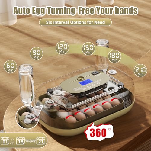 XOTTI Incubator for Hatching Eggs, 24 Egg Incubator with Precise Temperature Control, Auto Egg Turner, 360° Clear View, LED Candler, Alarm for Chicken Duck Quail Goose for Home School Farm Lab - size: 24 Eggs
