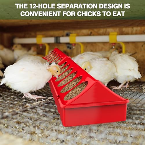 All-in-One Chick Brooder Kit with 75W Adjustable Heat Lamp, Spill-Proof Feeder & Waterer, and Rust-Proof Perch Stand for 5–15 Chicks - color: Red 2