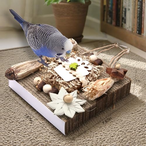 Kyouki Bird Toys, Parakeet Toys, Parrot Toy, Conure Hanging Chewable Cardboard Foraging Toys Suitable for Budgies, Cockatiels, Lovebirds, Sun Conures - and Other Small/Medium Parrots (Large) - size: Large