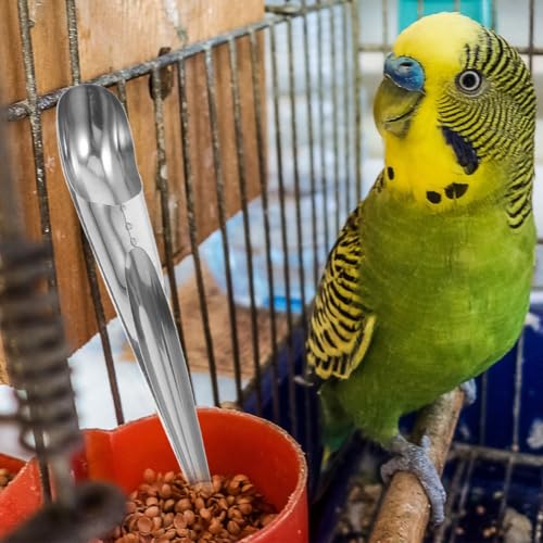 Toddmomy Bird Food Feeding Scoop Pet Feeding Food Shovel Bird Seed Scoop Funnel Stainless Steel Handle Spoon