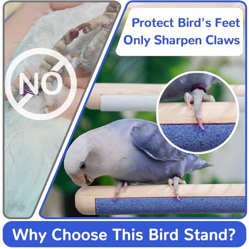 2-Pack Natural Wood Bird Perch with Foot Grinding, 7.8 Inch Bird Cage Accessories for Parakeets Cockatiel Lovebird Canary, Foot Health Training (Color Yellow & Pink)
