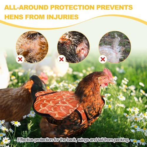 M METERXITY 1-Pack Chicken Saddle for Hens, 6.3 Inch Polyester Chicken Apron Back Protector with Adjustable Strap, Wing Protector Vest Jacket Mating Clothe [Orange]