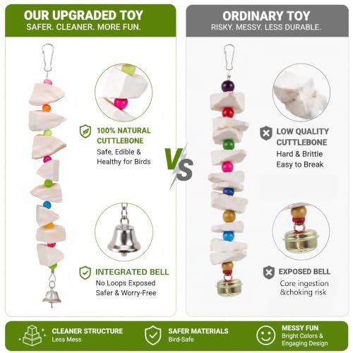 2 Pack Bird Toys with Cuttlebone & Beak Grinding Stone–Cage Accessories for Parakeets, Budgies, Cockatiels, Lovebirds, Green Cheeks & Small to Medium Birds