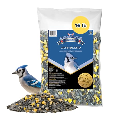 Armstrong Wild Bird Food Royal Jubilee Jays Blend, 16 Pounds - with Whole Corn, Striped Sunflower, Black Oil Sunflower and Peanuts for Blue Jays - Ideal for Outside Feeders - size: 16lbs, style: Pack of 1