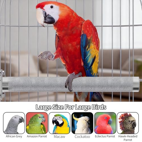 AOTU Large Bird Perch Stainless Steel Parrot Perches Bird Stand for Cage Durable Beak & Claw Trimming Grinding Perch for Birds Parrot Cage Accessory (M: 9.8" x 1.2") - size: M: 9.8" x 1.2"