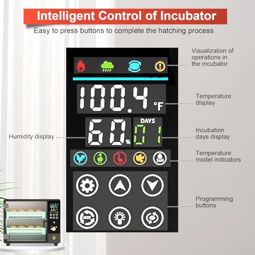 Egg Incubator for Hatching 24 Chicken Eggs |84 Quail Eggs | Precise Temperature & Humidity Control, Adjustable Rollers for Duck,Goose,Pigeon Egg, Auto Egg Turning,Water Refilling