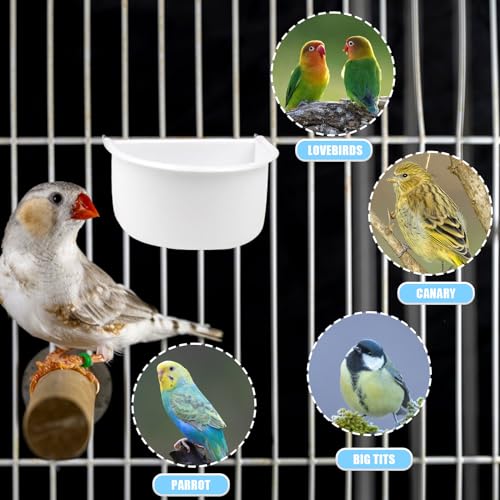Bird Feeder, 2 Pcs Plastic Bird Food Feeder, Bird Water Cage Accessories, Hanging Bird Food Bowl Cups for Parrots Small Birds Pigeons Parakeet