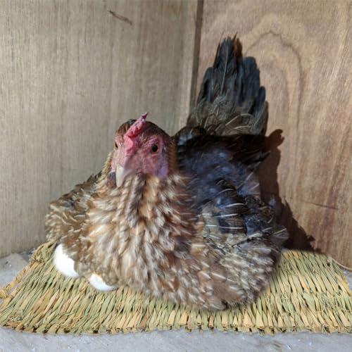 SUPVOX 1pcs Chicken Nesting Pads for Coop Straw Mat for Large Chicken Bedding Liner Comfortable Nesting Pad for Laying Hens Reusable