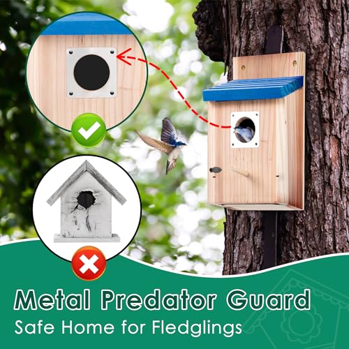 Dreyoo 3 Pack Bluebird Houses for Outside, 1-1/2'' Entrance Hole Wooden Bluebird Houses for Outdoors with Metal Guard, Secure Latch, Fledgling Grooves, Air Vents (Blue Roof with Wood Body)