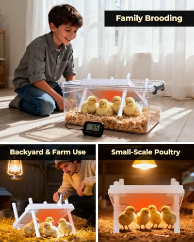 12"x12" Chick Heat Plate with Remote Precise Temperature Control | Adjustable height and angle, anti-tip frame, 30W low-energy heating, supports up to 20 chicks, ideal for indoor brooding