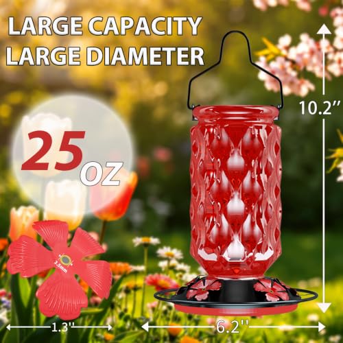 Hummingbird Feeder for Outdoors, 25OZ Hummingbird Feeder with 5 Flower Ports & Perch, Leak-Proof, Crystal Clear – Glass Hummingbird Feeders for Outdoors Hanging, Garden Decor,Gifts for Women Men (Red) - color: Red
