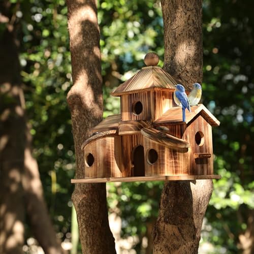Bird Houses for Outside, 6-Hole Multi-Chamber Birdhouse for Small Birds | Cedar Wood Nesting Box, 1.22" Entrance Hole Fits Wrens & Chickadees, 11.02 x 7.08 x 9.25" Size, Garden & Backyard Placement