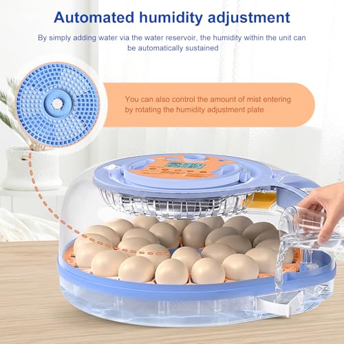 26 Eggs Incubator with Voice Control, Automatic Egg Turning & Humidity Control, °F/°C Switchable, Built-in Egg Candler, Poultry Hatcher for Chicken Duck Bird Eggs - Blue - color: Blue