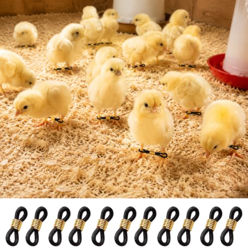 100 Pcs Baby Chicken Splay Leg Bands, Adjustable Poultry Leg Hobble Brace | Sofr Silicon Splay and Spraddle Leg Fix, for Newborn Chick, Quail, Duck, Bird
