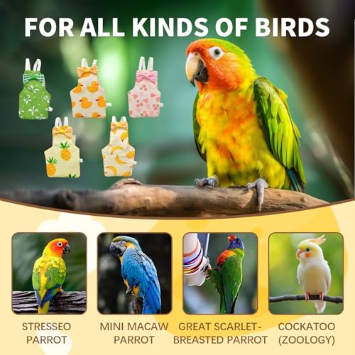 Bird Diaper, 5pcs Bird Diapers with Waterproof Inner Cute Style Pigeon Pants Chicken Diapers for Indoor Chickens Duck Parakeet Cockatiel Mini Macaw Budgie Canary Monk Parakeet Lory (M)