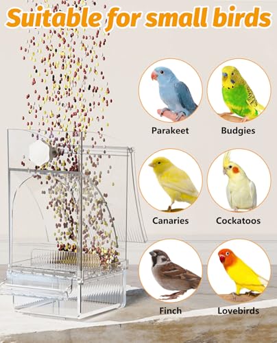 BNOSDM No Mess Bird Feeder Transparent Bird Food Container Automatic Parrot Feeder with Perch Parakeet Cage Accessories for Budgies, Canaries, Cockatoos, Finch and Lovebirds - color: Transparent