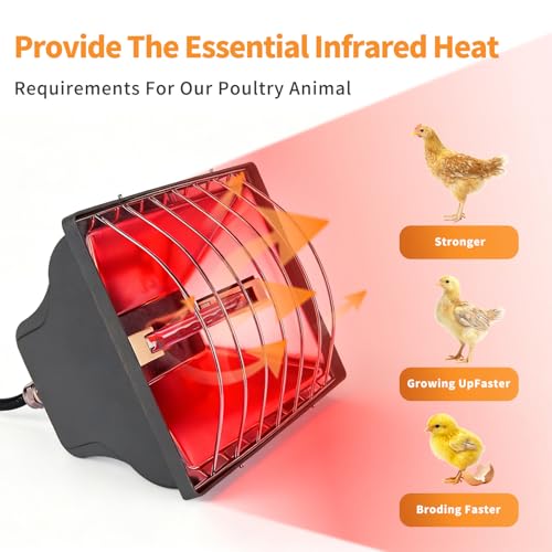 250W Chicken Coop Heat Lamp with Guard & Adjustable Temp | Adjustable 175W/250W infrared heater with safety guard. For chicks, poultry, livestock & small pets. Durable brooder heating. - size: 1 Pack