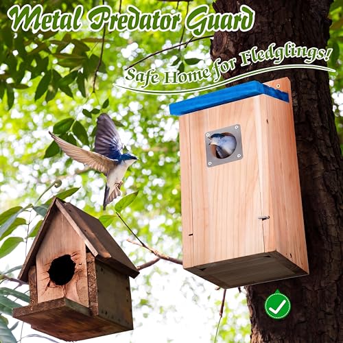 Dreyoo 2 Pack Bluebird Box Houses for Outside,1-1/2'' Entrance Hole Wooden Bird Houses with Metal Guard, Secure Latch,Fledgling Grooves,Air Vents for Bluebird Wren Swallow(Blue Roof, Wood Body) - color: Blue Roof, Wood Body
