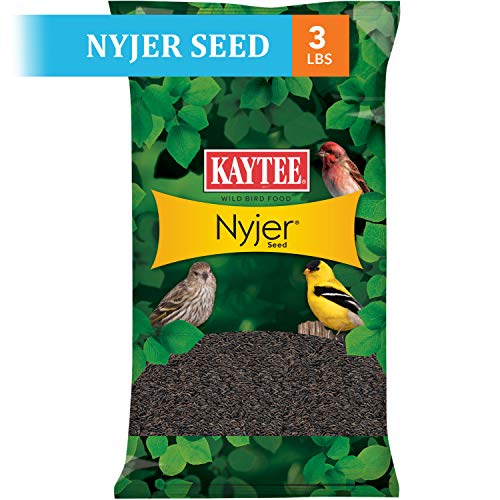 Kaytee Nyjer Seed for Finches & Other Wild Birds, 5 Pounds | Less mess. Finch bird seed for small songbirds. No hulls, 100% edible, bird seed for outside feeders - size: 3 Pound (Pack of 1), style: 3 Pound Bag